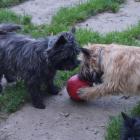 its-mine---give-it-to-me.jpg