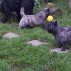 rain-with-ball-and-blink.jpg