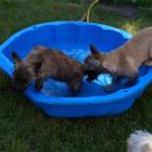 boys_3mths_and_4mths.jpg