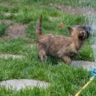 playing_with_water.jpg