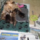 4weeks_with_mum.jpg