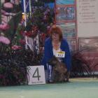c.kimo_4thbest_minor_puppy.jpg