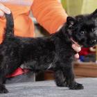 F.U.N.8weeks.jpg