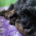 1w.old-with-mum.jpg