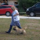 2nd-day-non-iron-walking.jpg