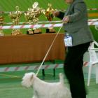 RAMMSTEIN AT Grandiflora