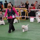 METALLICA AT Grandiflora