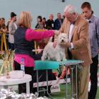 METALLICA AT Grandiflora