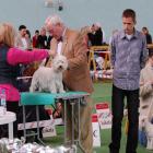 METALLICA AT Grandiflora