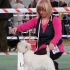 METALLICA AT Grandiflora