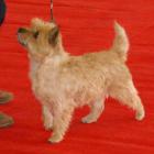 Kullehus Eufemia BOS