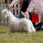 METALLICA AT Grandiflora