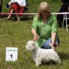 DONNA ALAYA Grandiflora