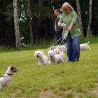 V Zlot Klubu Miłośników Westie