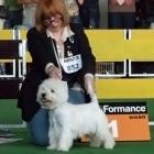 MASTER OF PUPPETS Grandiflora