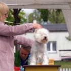 METALLICA AT Grandiflora