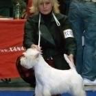 MASTER OF PUPPETS Grandiflora