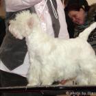 Nightwish at Grandiflora