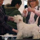 Nightwish at Grandiflora