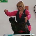 Glace Cherry Brandy (Bubak)