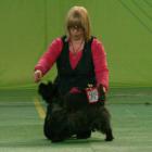 Glace Cherry Brandy (Bubak)