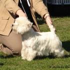 LET ME PLAY Glenfarclas FCI