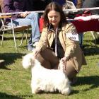 LET ME PLAY Glenfarclas FCI