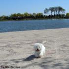 LET ME PLAY Glenfarclas FCI