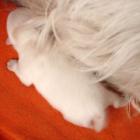 005_2008_007.jpg