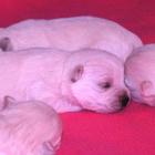 006_2008_000.jpg