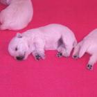 006_2008_003.jpg