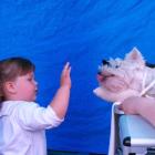 006_2008_009.jpg
