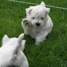 007_2008_003.jpg