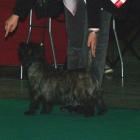 011_2008_002.jpg
