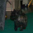 011_2008_003.jpg