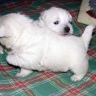 001_2008_003.jpg