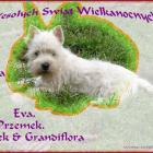 easter2008_PL.jpg