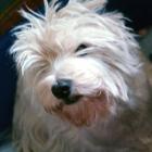 005_2008_001.jpg
