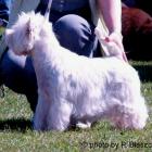005_2008_003.jpg