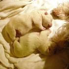 011_2007_003.jpg