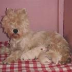 Dumna Mama z dziećmi