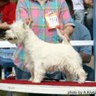 RAMMSTEIN - doskonała, Zw.Mł., Najl.Junior, II BIS Juniorów III Grupy