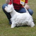 FABULOUS SOPHIE - kl.młodzieży, II lok., doskonała