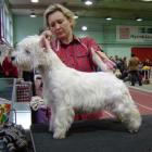 Flash na swojej pierwszej wystawie w Finlandii