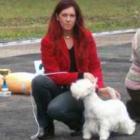 RIDE THE LIGHTNING Grandiflora