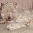 VIVIENNE Blataj z córeczką