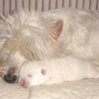 Vivienne z maleństwem