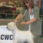 FABULOUS SOPHIE - I lok., Zwycięstwo Młodzieży