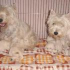 Vivienne i Missy z dziećmi