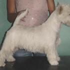 Flash w wieku 6 mies. (zdj. arch.)